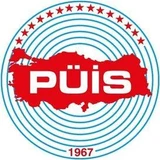 PÜİS